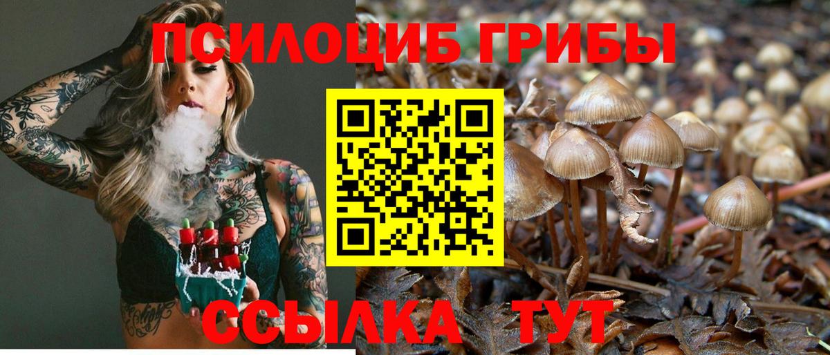 Псилоцибиновые грибы Psilocybine cubensis  Псилоцибиновые грибы GOLDEN TEACHER  Вход с VPN  Зеленодольск 